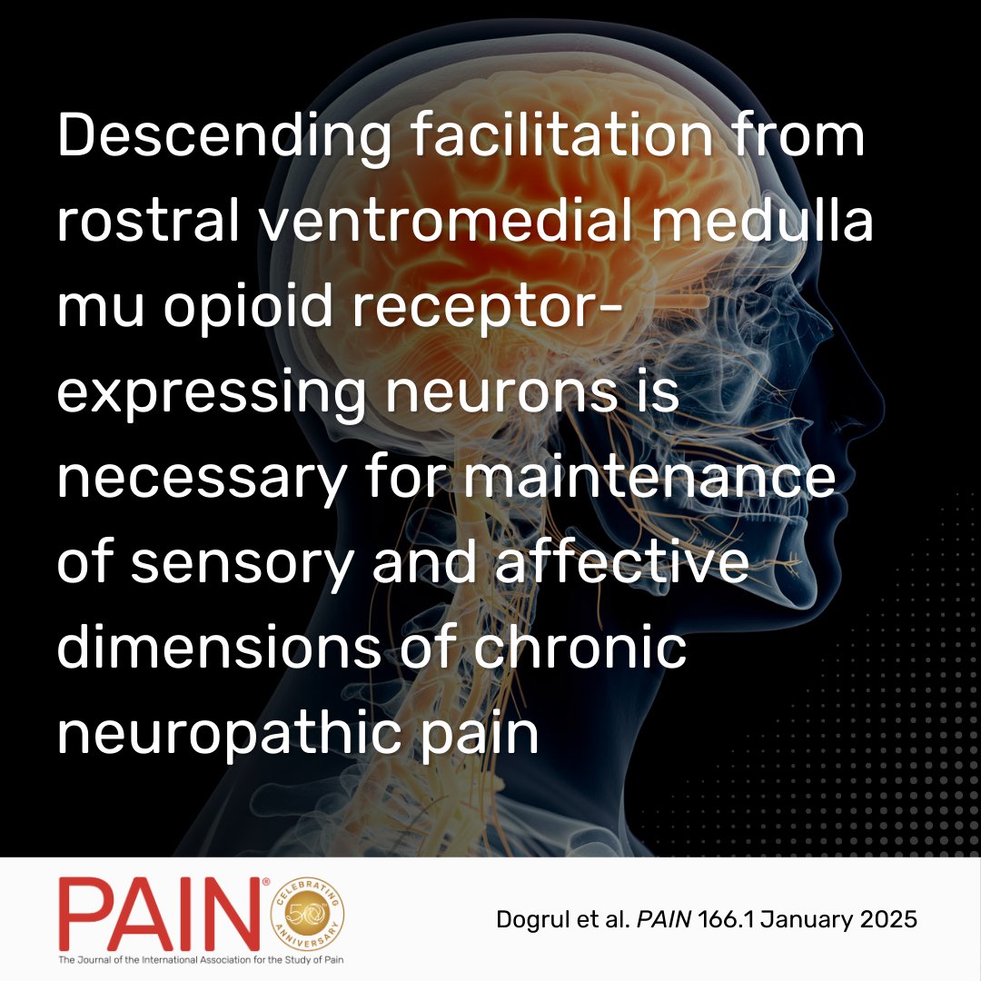PAIN Journal tweet media