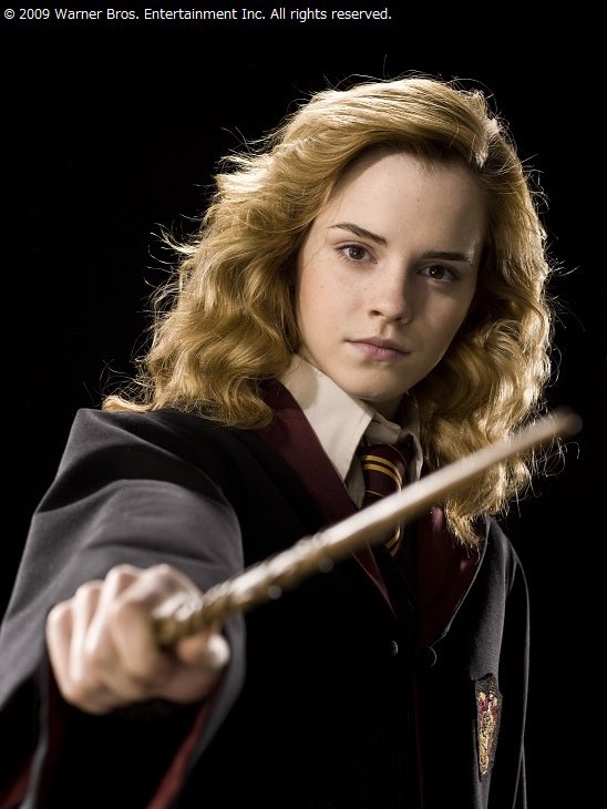 ハリー「ぼく“選ばれし者”だもん」 図書館📚で #ハーマイオニー に叩か