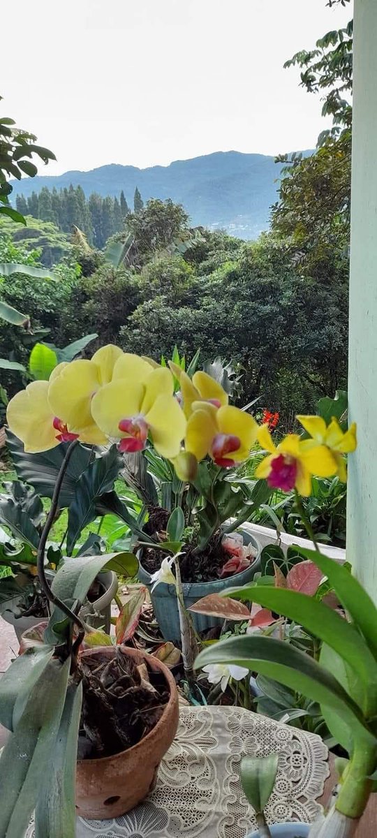 Please give yourself the chance to meet someone new, instead of going back to someone from your past who didn't appreciate you when they had you.