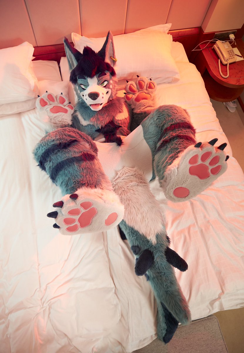 Are sharkyeens allowed on the bed? 🥺

#FursuitFriday 
📷 <a href="/RafaGreenfur/">rafagreenfur.bsky.social</a>