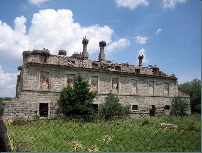 Foto cedida por Ecologistas en Acción