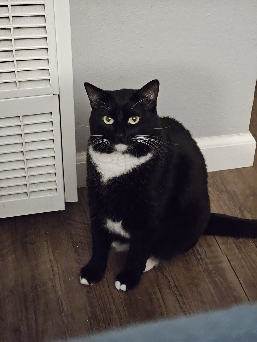 Peepers 🏳️‍🌈🏳️‍⚧️💕 tweet media