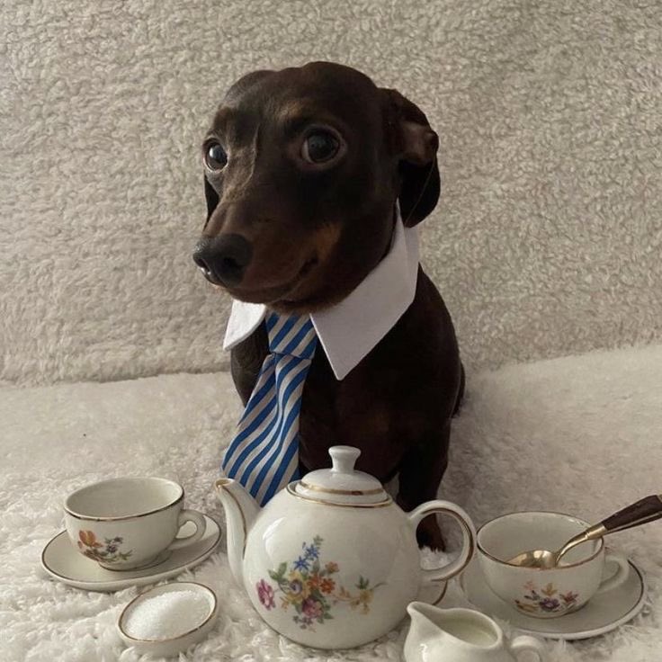 marie | DEANBOY ♡ (@thinkindeanw) on Twitter photo 