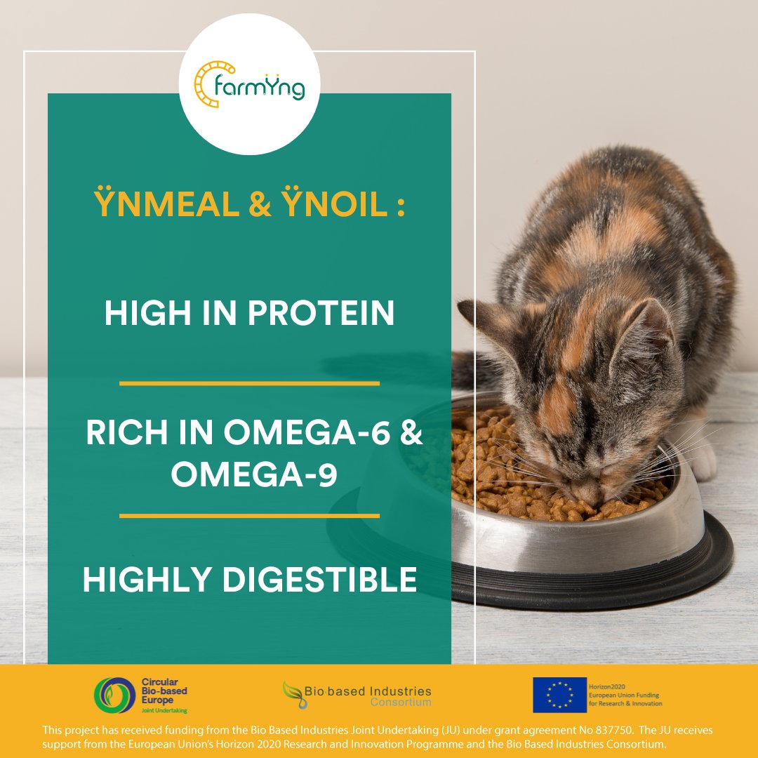 Did you know insect-based ingredients are nutritious &amp; sustainable? ŸnMeal (70% protein, 89% digestibility) boosts vitality, while ŸnOil (rich in omega-6/9) improves coat &amp; supports inflammation. Let’s innovate for pets &amp; the planet! 🐾 #SustainableNutrition