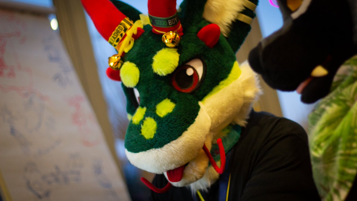 Cute catdragon during an intense gaming match at FV
🐱‍🐲<a href="/draufleger/">draufleger</a> #FursuitFriday