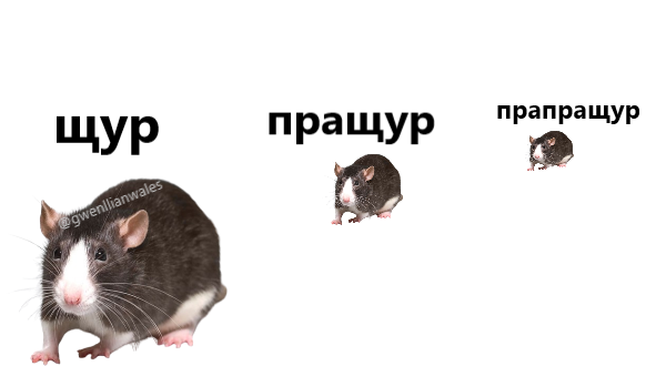 gwenllianwales's tweet photo. Вибачте https://t.co/lLsAp8Btu0