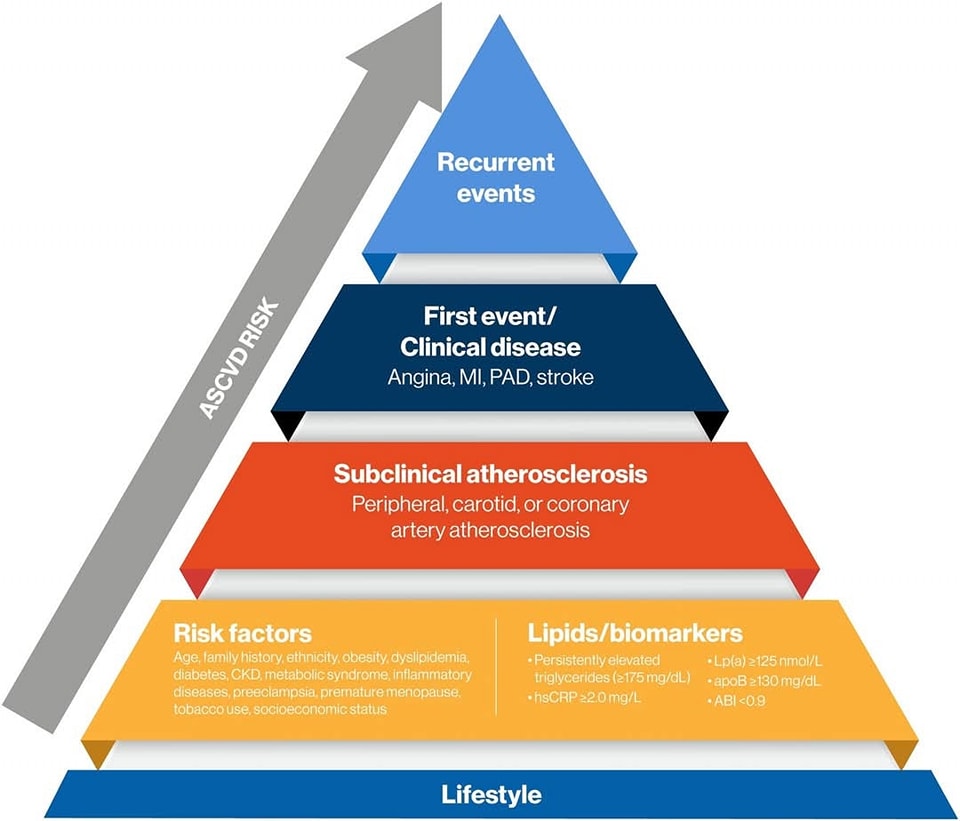 🔴Evolving Management of Low‐Density Lipoprotein Cholesterol: A Personalized Approach to Preventing ASCVD Across the Risk Continuum #2023Review #openaccess 

🔹ahajournals.org/doi/full/10.11…
#CardioTwitter #CardioEd #Lipids #CVrisk #LDL