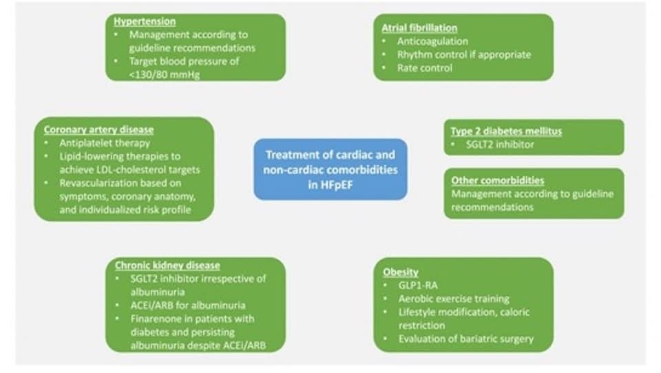 The Heart (@zheart11768530) on Twitter photo 🔴Contemporary treatment options in HFpEF⤵️ #2024Review <a href="/ESC_Journals/">European Society of Cardiology Journals</a>
🔹academic.oup.com/ehjcimaging/ar…
#Diagnosis #Cardiology #ECG #EKG #Brugada #Syndrome #Table #Types #Morphology #ALiEM #Cardiology #FOAMed #MedEd #medstudent #paramedic #Cardiology #CardioEd 🔴Contemporary treatment options in HFpEF⤵️ #2024Review <a href="/ESC_Journals/">European Society of Cardiology Journals</a>
🔹academic.oup.com/ehjcimaging/ar…
#Diagnosis #Cardiology #ECG #EKG #Brugada #Syndrome #Table #Types #Morphology #ALiEM #Cardiology #FOAMed #MedEd #medstudent #paramedic #Cardiology #CardioEd