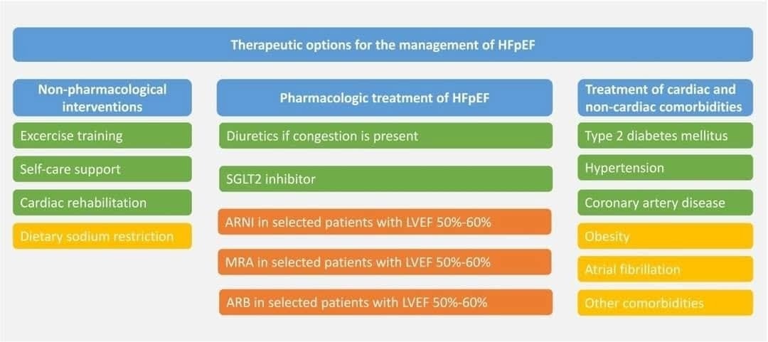 ZHeart11768530's tweet photo. 🔴Contemporary treatment options in HFpEF⤵️ #2024Review @ESC_Journals

🔹https://t.co/qUENes2j5d
#Diagnosis #Cardiology #ECG #EKG #Brugada #Syndrome #Table #Types #Morphology #ALiEM #Cardiology #FOAMed #MedEd #medstudent #paramedic #Cardiology #CardioEd https://t.co/Uakhtd0Enj