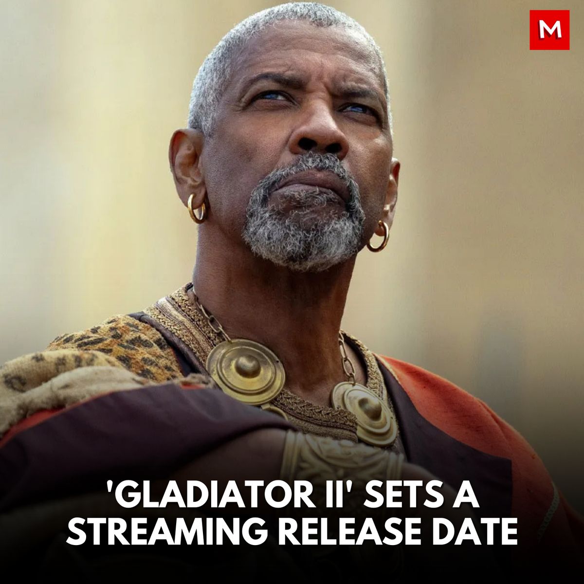 movieweb's tweet photo. #GladaitorII is streaming in just a couple of days. Details here ποΈ https://t.co/6QlrY8TR56 https://t.co/vEKuo3zfgj