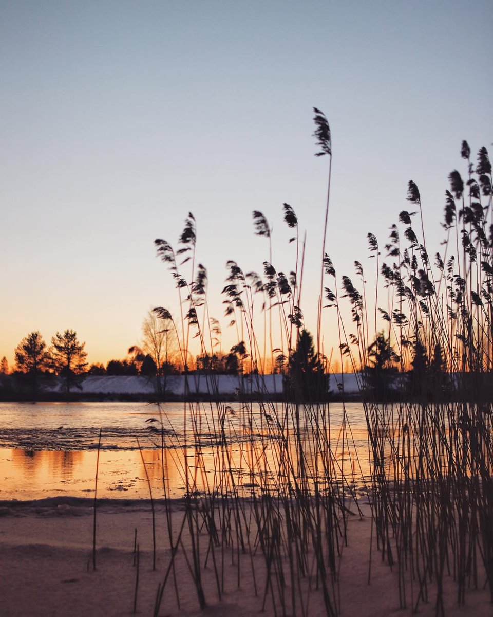 “Just slow things down 
and it becomes more beautiful.”

~ David Lynch
20.01.1946–15.01.2025
·

© Anna Hilja