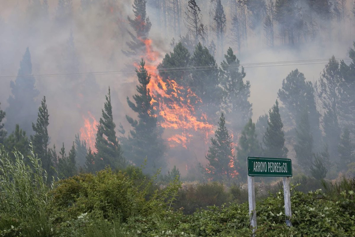 Ya se quemaron mas de 3000 hectáreas de la Patagonia Argentina. En Chubut el fuego sigue avanzando mientras la ausencia del Estado es total. Se están quemando hogares, escuelas, vegetación y fauna. La situación cada vez es mas crítica. Los medios siguen hablando de California y