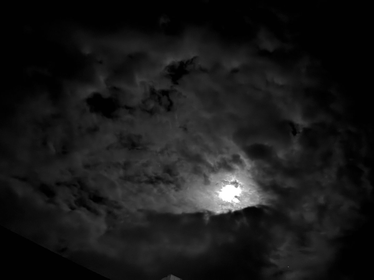 Windy元次郎 tweet media