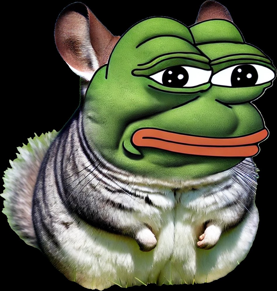kekchilla's tweet photo. @lynk0x bro that could feed $chinch for like his lifetime 😭 https://t.co/ZR6ozdHoef