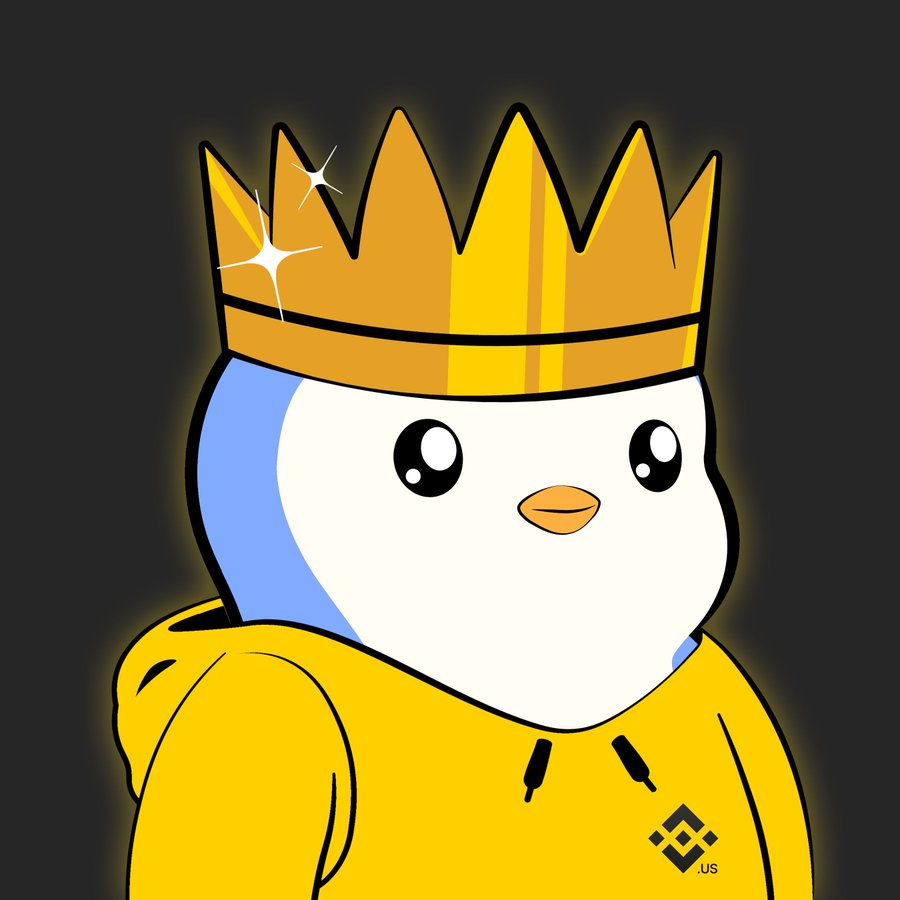 Binance US set Pudgy Penguins as twitter PFP 