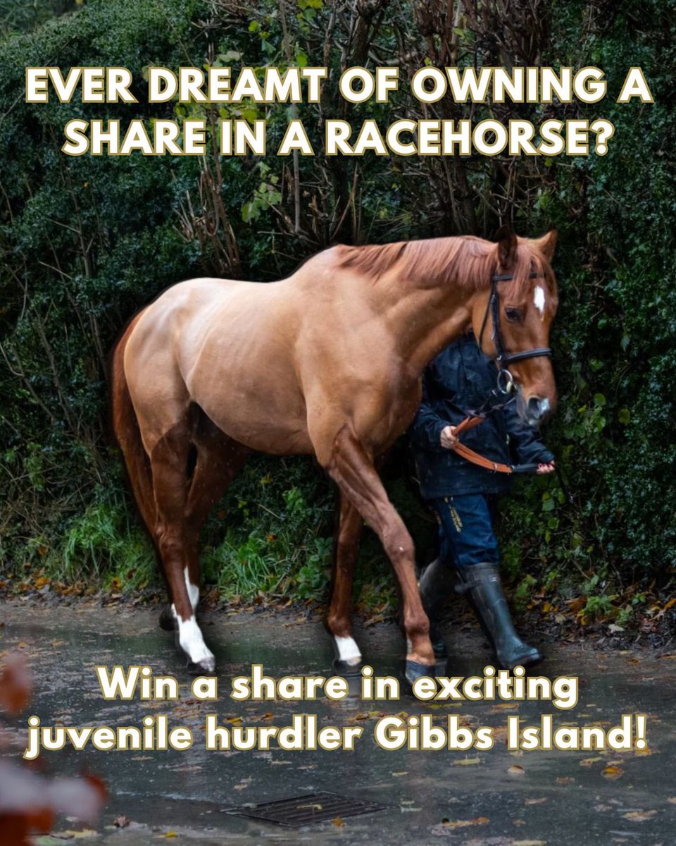 RaceShare (@raceshare) on Twitter photo π€© Have you ever wanted to own a share in a racehorse? We have two shares up for grabs in our exciting juvenile hurdling prospect GIBBS ISLAND which you could win by following the steps below ππ»
β FOLLOW <a href="/RaceShare/">RaceShare</a>
β₯οΈ LIKE this post
π RETWEET
β³ Closes on Friday 24th π€© Have you ever wanted to own a share in a racehorse? We have two shares up for grabs in our exciting juvenile hurdling prospect GIBBS ISLAND which you could win by following the steps below ππ»
β FOLLOW <a href="/RaceShare/">RaceShare</a>
β₯οΈ LIKE this post
π RETWEET
β³ Closes on Friday 24th