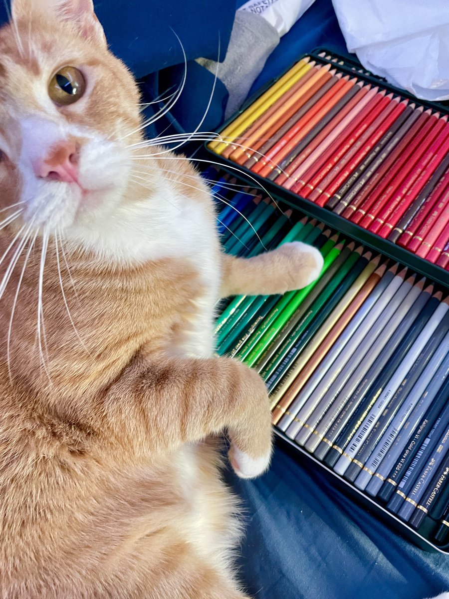 Hi Every! It's ,Milkmañ. You might forgot me because I am bad. At keep in touch but I was hoping 

I could show you mine collecting of Golorpencils !!! I love you