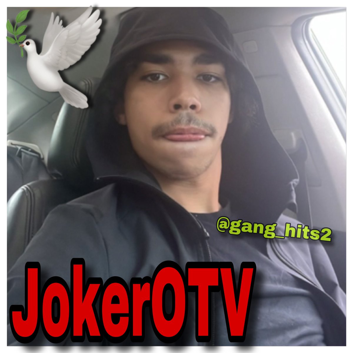Gang Hits tweet media