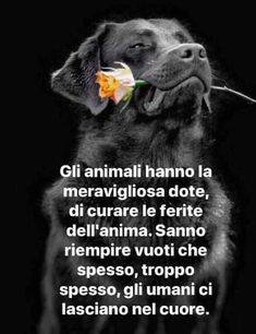 annamariamoscar's tweet photo. ❣ ❣ ❣ ❣ ❣ https://t.co/cUtDuqvYDQ