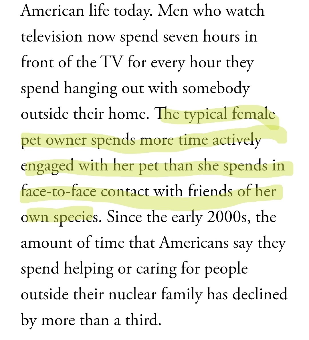 Blippitybloopi's tweet image. New generation of cat ladies