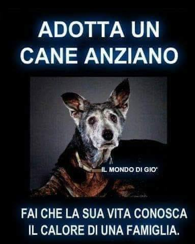 annamariamoscar's tweet photo. 💝💝💝💝💝 https://t.co/OVqXeH0QWS
