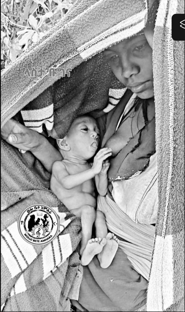 amharazare's tweet photo. The famine in Bugna, Lasta is devastating. Together, we can bring hope and relief to those suffering. Donate today. #HopeForBugna #FamineAid https://t.co/YOo8NSZiMa