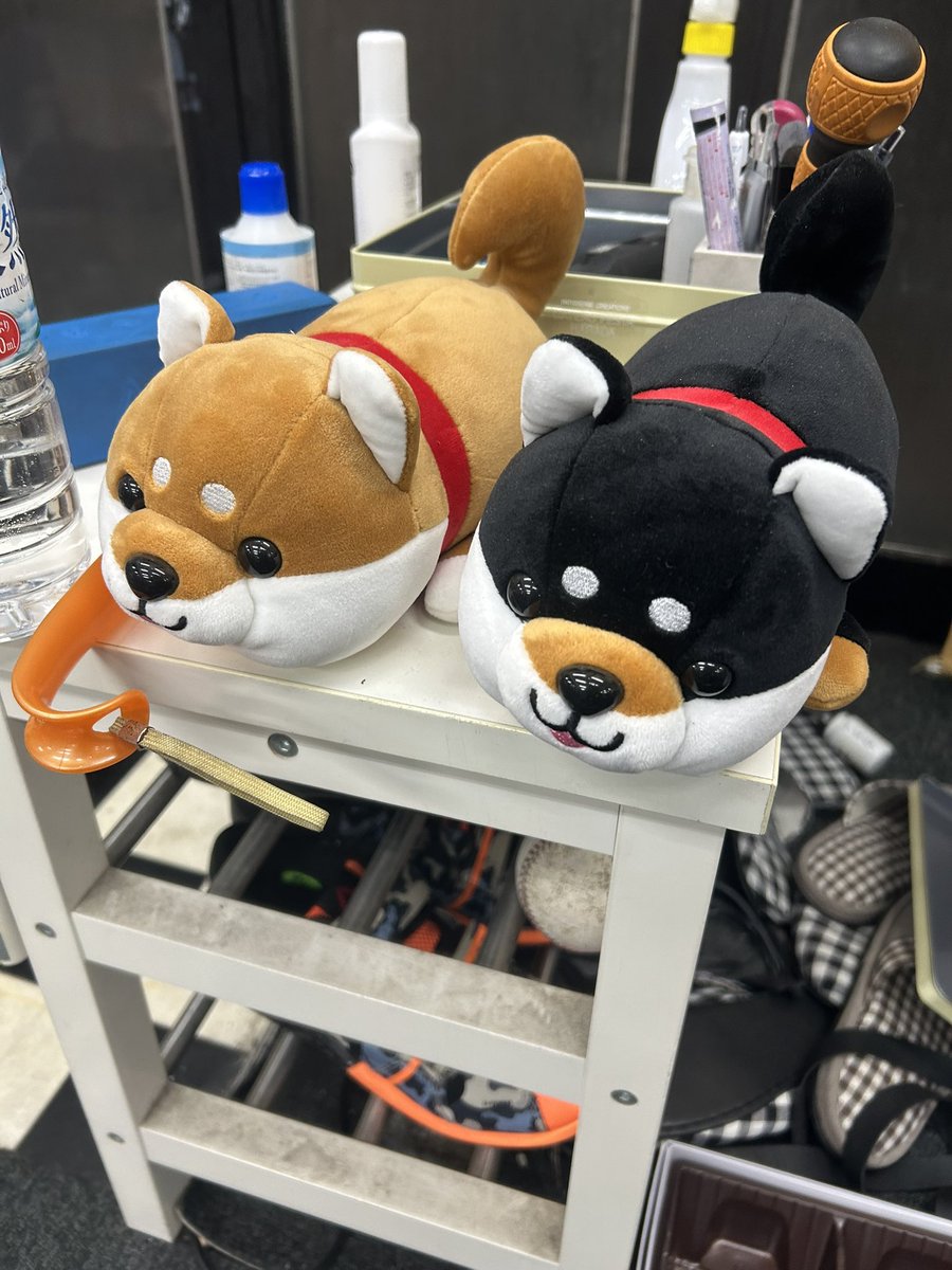 warugakimairo's tweet photo. 今日からマッスルです😆
それに伴いSBD Dayを設けました。
1日にComp setするんって結構ハードやな(笑)
初体験の為明日の体の疲労が怖い😱
#パワーリフティング #EJPL https://t.co/dyvxiZO77M