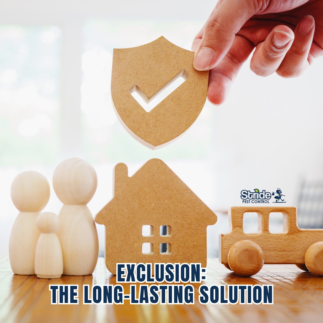 stridepest's tweet image. Rodent exclusion isn’t just a quick fix—it’s a lasting solution!

Stride Pest Control uses the most durable materials to seal your home and keep rodents out for good.

Don’t let rodents ruin your home—contact us today for your FREE inspection!

#LastingSolution #RodentPrevention