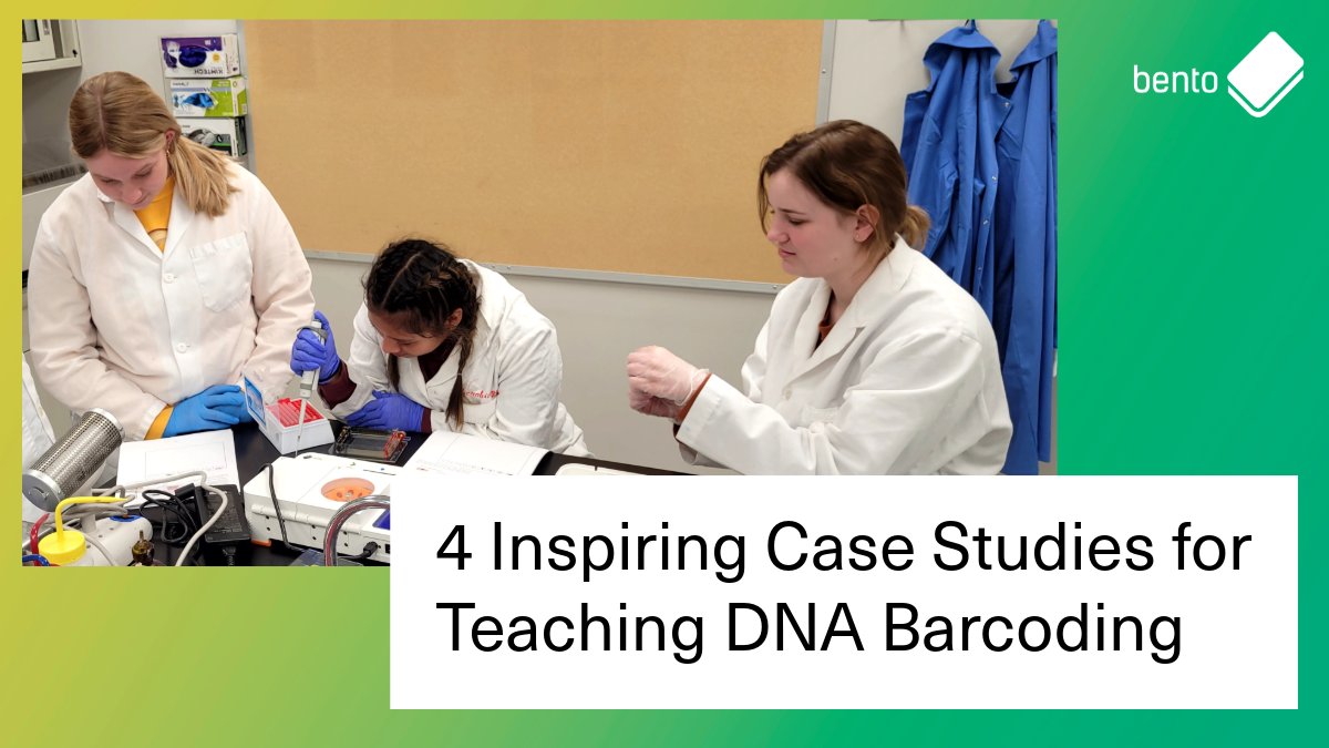 Want to teach DNA barcoding but not sure where to start?

We’ve rounded up 4 lesson plans packed with practical steps — from field sampling to phylogenetics — designed for high school &amp; undergrad classrooms.

Learn more: bento.bio/resources/educ…

Pictured: undergraduate students