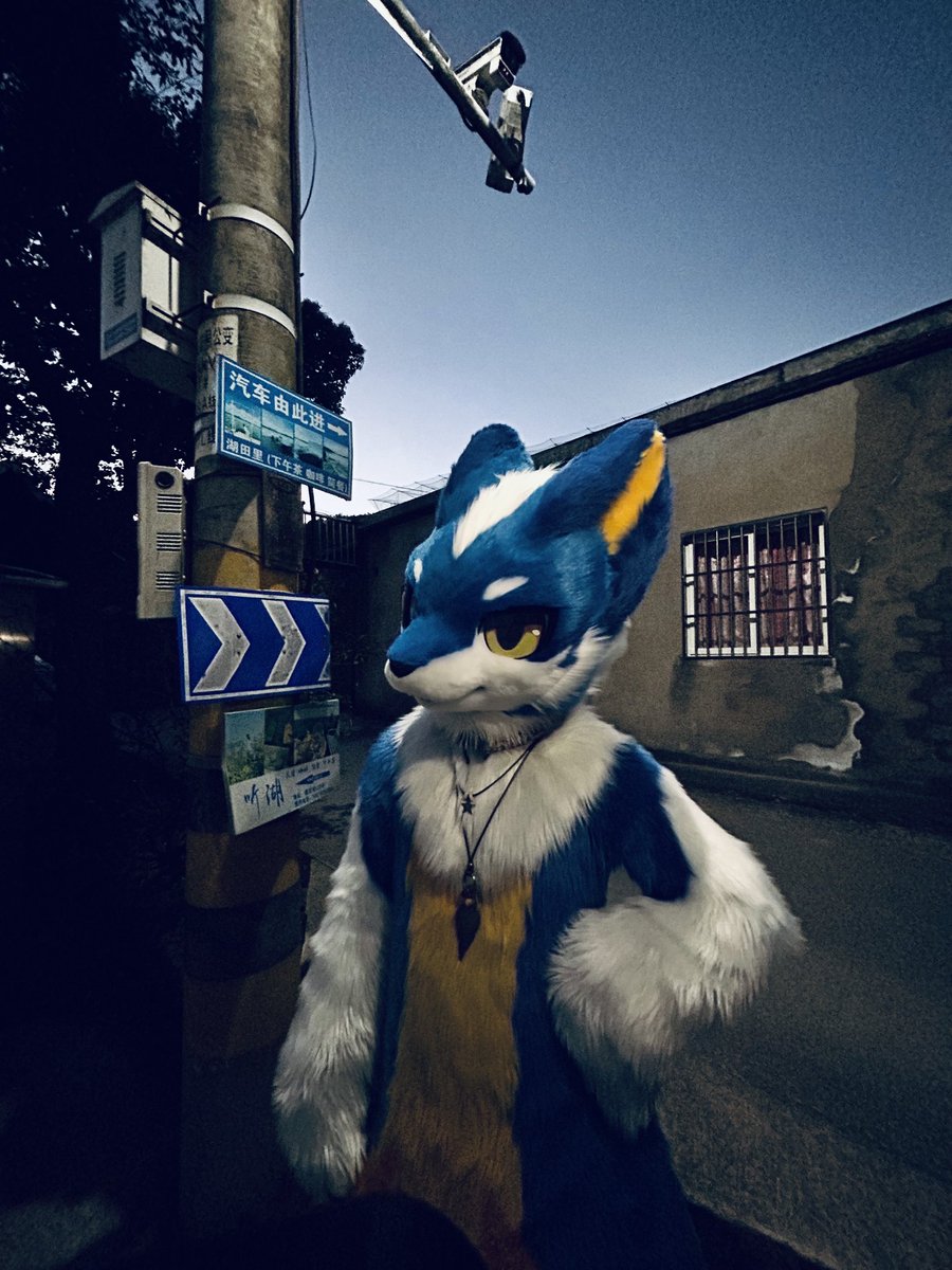 #FursuitFriday
似乎进入了某种梦核