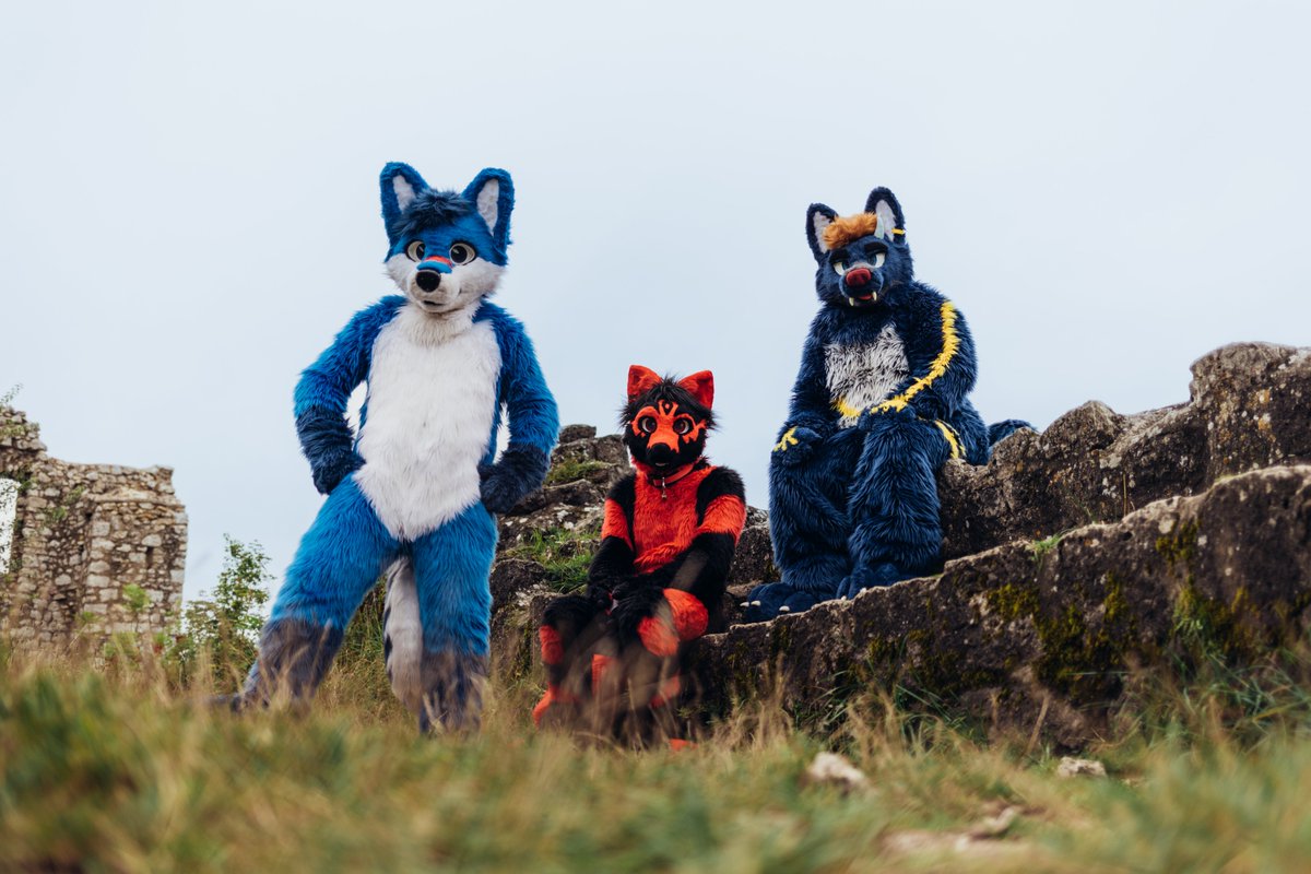 Ready to visit our castle? 🏰 Before you can step inside, you'll need to prove yourself worthy by passing the ultimate knight's test! ⚔️

🦊 <a href="/IcanFox/">IcanFox</a> 
🐺 <a href="/StejfS/">Štejf</a> &amp; me
🧵&amp; 📷@vino_studios
#FursuitFriday #Fursuiter #furry #furrycommunity