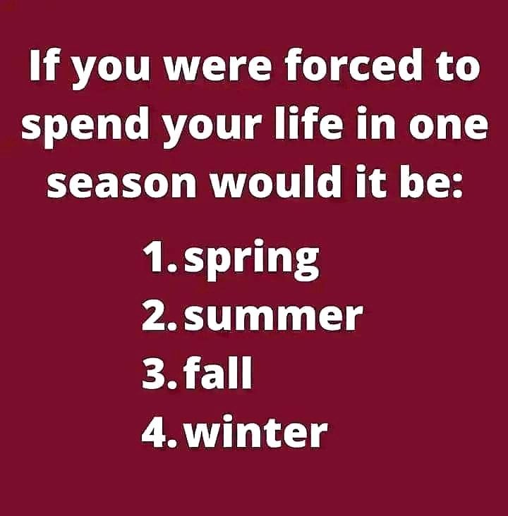 Berkey Water Filters tweet media