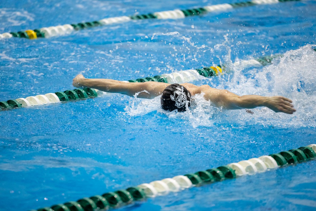 CSU_SwimDive's tweet photo. Two days, two locations, two chances to compete.

🆚: St. Bonaventure (Swimming)
🕓: 5:00 PM
📍: Reilly Center Pool / St. Bonaventure, N.Y.
📺: https://t.co/riOXCLIDkn

🆚: Duquesne/George Mason/Lafayette (Diving)
🕓: 5:00 PM
📍: Carnegie Mellon / Pittsburgh, Pa.

#GoVikes https://t.co/FkjvFvDUQF