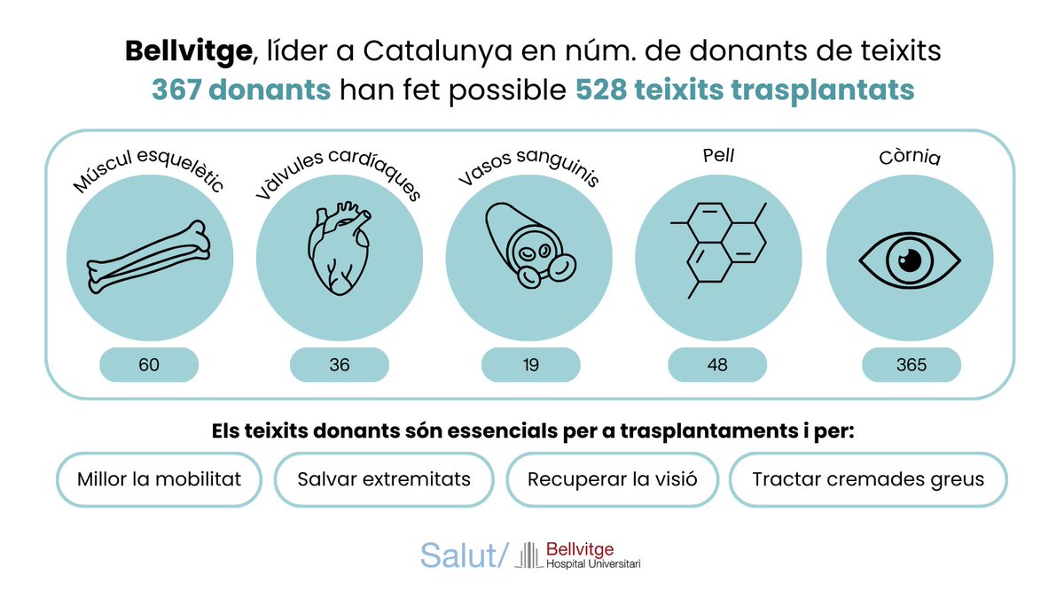 Gabriel Moreno-Gonzalez (@gabo_moreno_g) on Twitter photo En <a href="/hbellvitge/">Hospital Universitari Bellvitge | HUB</a> realizamops 285 trasplantes en 2024, nos mantenemos como líderes en materia de donación y trasplante!! Con 367 donantes de tejidos seguimos liderando la donacion de tejidos
Revisa la infografía
Gracias donantes y familias esto todo esto no sería posible sin ustedes En <a href="/hbellvitge/">Hospital Universitari Bellvitge | HUB</a> realizamops 285 trasplantes en 2024, nos mantenemos como líderes en materia de donación y trasplante!! Con 367 donantes de tejidos seguimos liderando la donacion de tejidos
Revisa la infografía
Gracias donantes y familias esto todo esto no sería posible sin ustedes