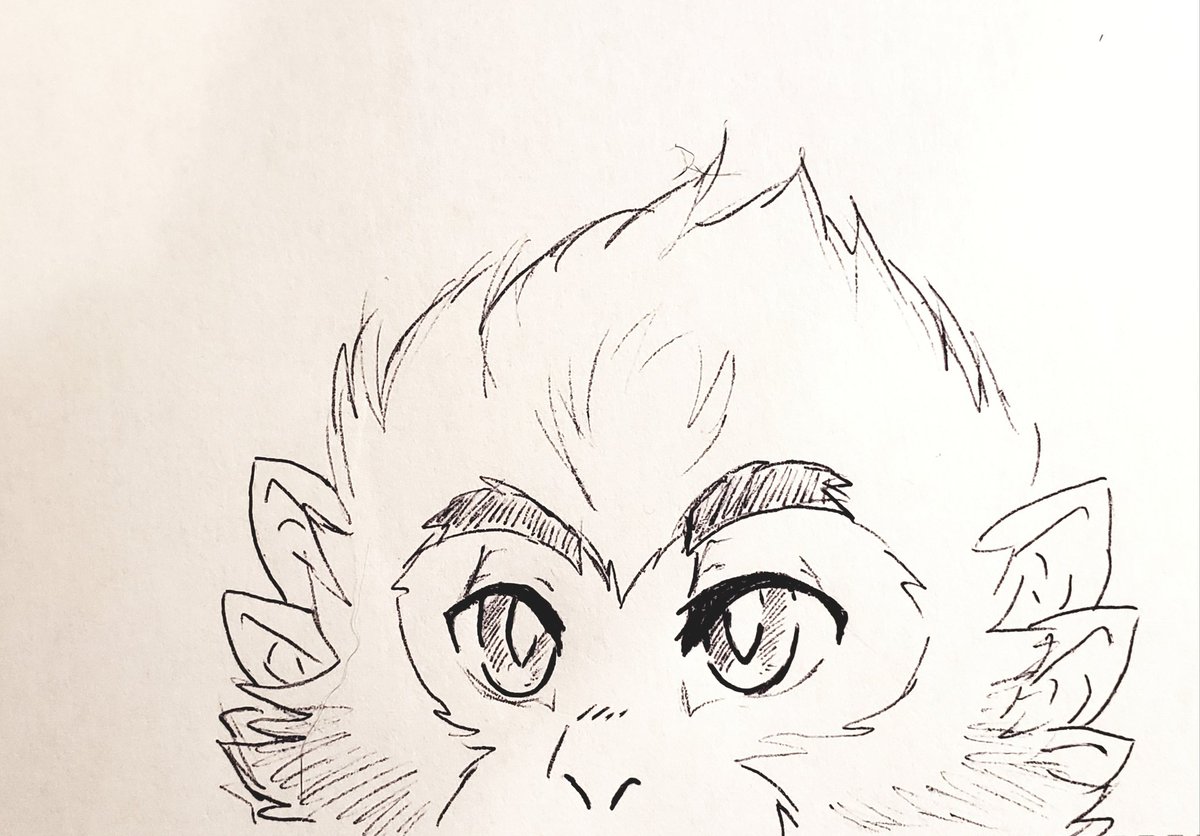 StoneMonkeh's tweet image. Peeker

#legomonkiekid #lmkMacaque #BoxArt