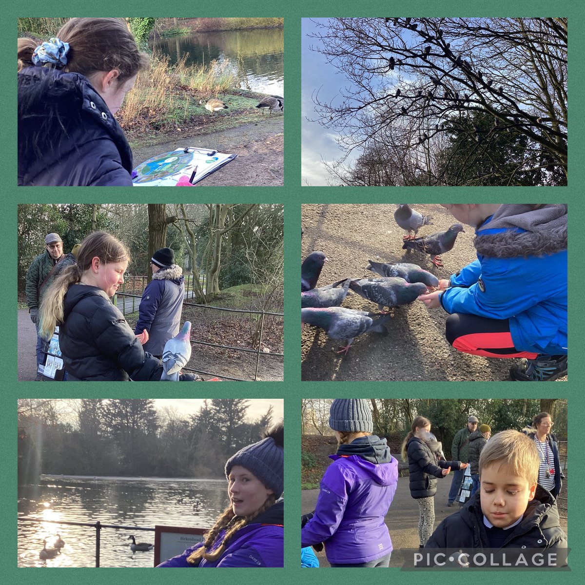 ChurchDrivePS's tweet image. Church Drive’s lovely Eco committee enjoyed a beautiful morning at @birkenheadpark birdwatching. The children and adults thoroughly enjoyed this activity. We even had time for a yummy hot chocolate and some snacks. @OakTreesMAT