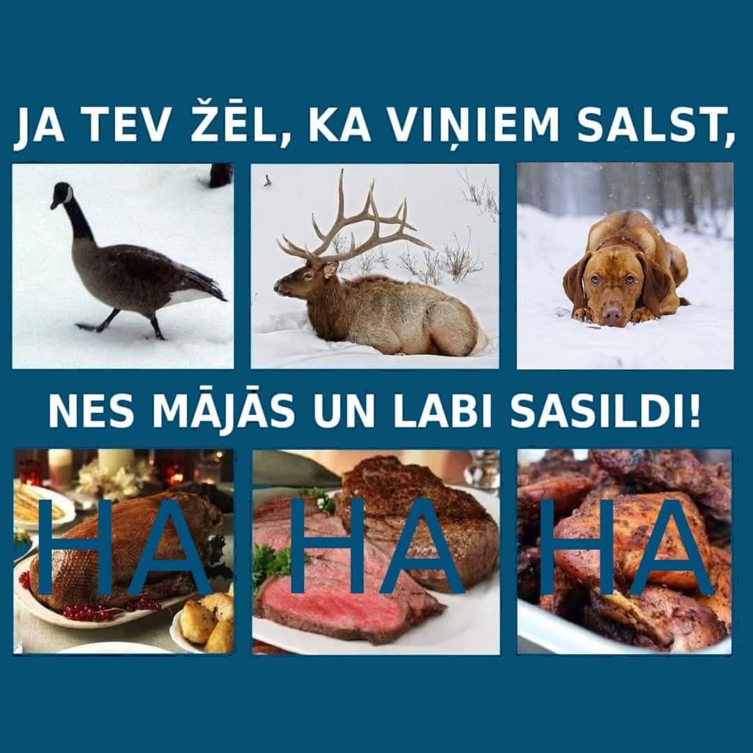 VNABinforme's tweet photo. 🙏 Rūpējamies par dzīvnieciņiem, lai viņi nesabojājas!!! Nedrīkst laist zūdībā labu mantu un Dabas Mātes dāvanas.

Visiem, kas atkal jau piekasīsies - ja dzīvnieki nav ēdiens, tad kāpēc viņi ir radīti no GAĻAS??? Padomājiet vienreiz. https://t.co/Q0RdC2ng6p