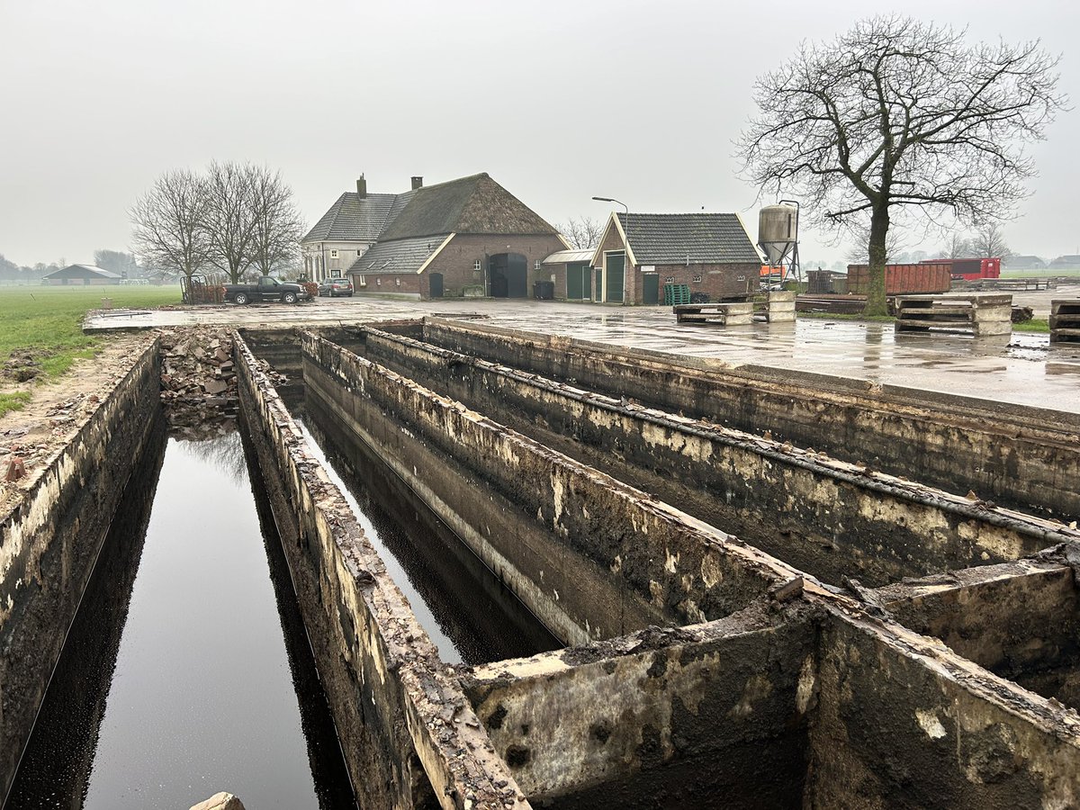Dubbel gevoel bij transitie van platteland: stallen bij eeuwenoude IJsselhoeve worden gesloopt met regeling die vereist dat er nooit meer koeien gehouden mogen worden op deze plek. Zo raakt platteland vee in de wei kwijt….