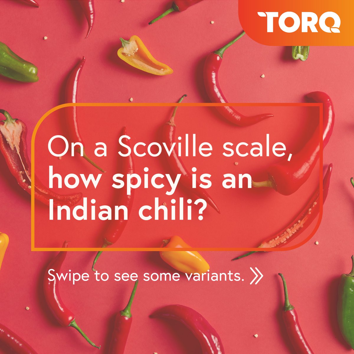 CommoditiesTorq's tweet photo. An Indian chili offers a range of experiences - it may have just the right spice, fall short of expectations, or be more than anything you can handle.
Find out how spicy some of the most popular chilies from India are.
#india #chilis #commodityinfocus #taste #food #culture https://t.co/6ja8kqzGxY