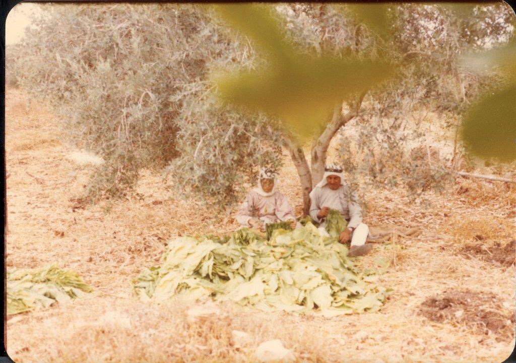 JeninYounesEsq's tweet photo. My grandparents, in their West Bank village in the '70s.  I visited once with my father and brothers in 1997, but the way we were treated at the airport and when traveling between villages by the Israeli soldiers was so terrifying my dad didn't want to take us back.  So I only met my grandparents, aunts, uncles, and cousins on that one trip--never again.