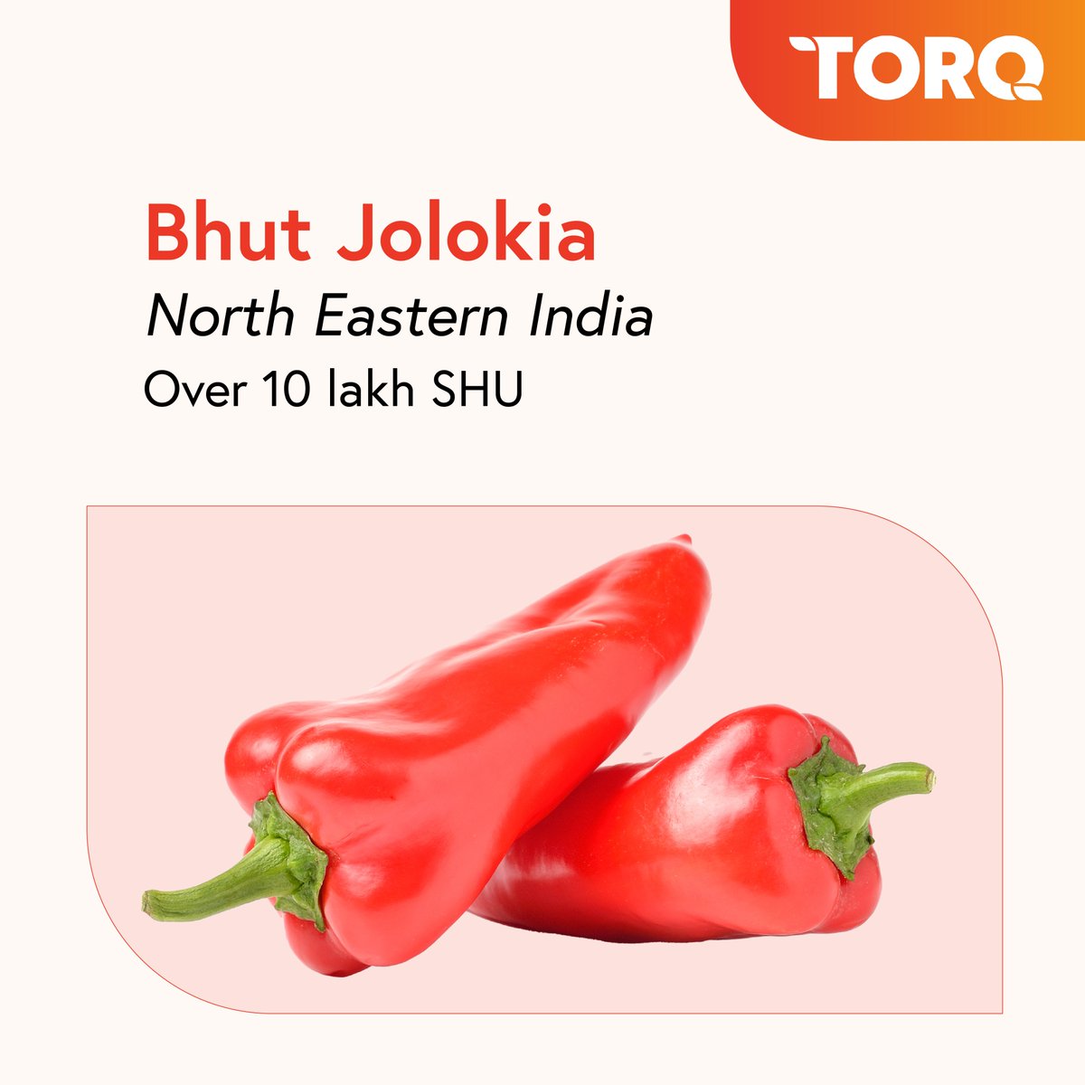 CommoditiesTorq's tweet photo. An Indian chili offers a range of experiences - it may have just the right spice, fall short of expectations, or be more than anything you can handle.
Find out how spicy some of the most popular chilies from India are.
#india #chilis #commodityinfocus #taste #food #culture https://t.co/6ja8kqzGxY
