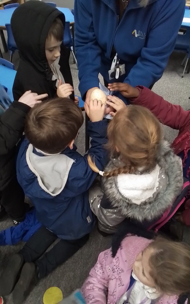 Year 1 Simpson’s Lane tweet media