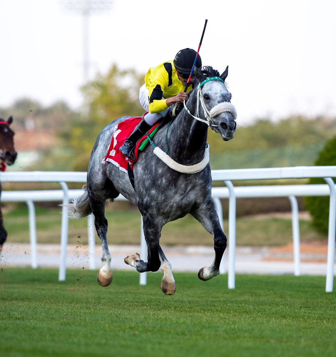 MONSIEUR JUMBO is back! 😍 

#SaudiRacing | #RiyadhSeason