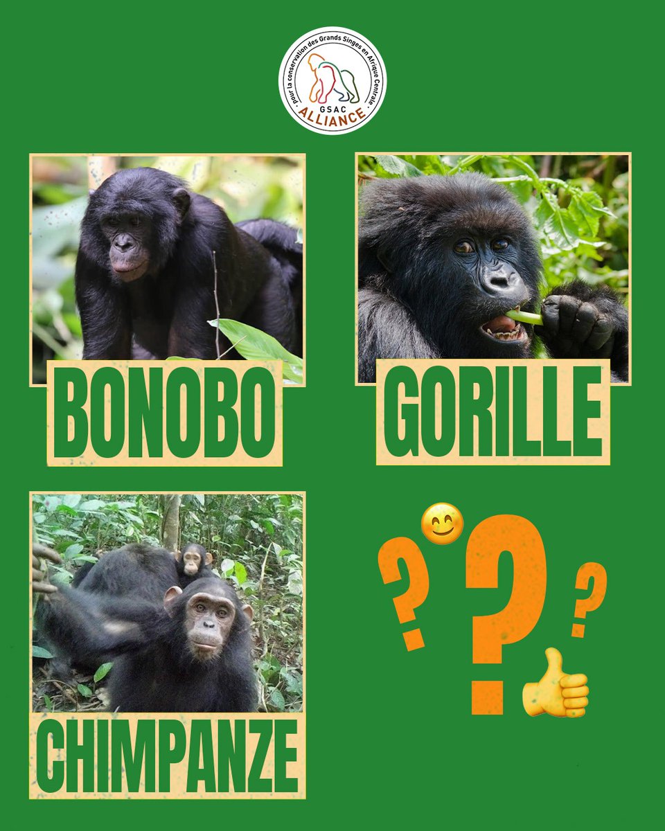 ALLIANCE GSAC tweet media