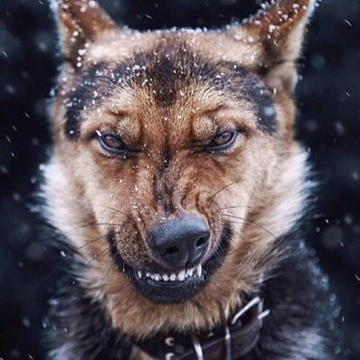 NativeAlien44's tweet photo. #NewProfilePic https://t.co/BH1X8vo3rc