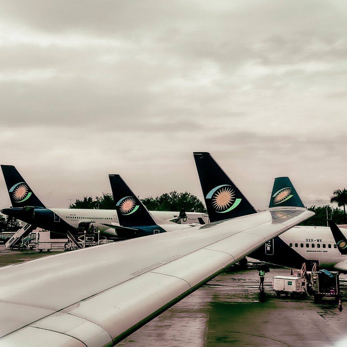 FlyRwandAir's tweet photo. Tail tales for the weekend! 

All lined up and ready for adventure

📸 by IG user: clear_s.h.ot.s

#FlyTheDreamOfAfrica #FanPhotoFriday https://t.co/1g6o11TtSV