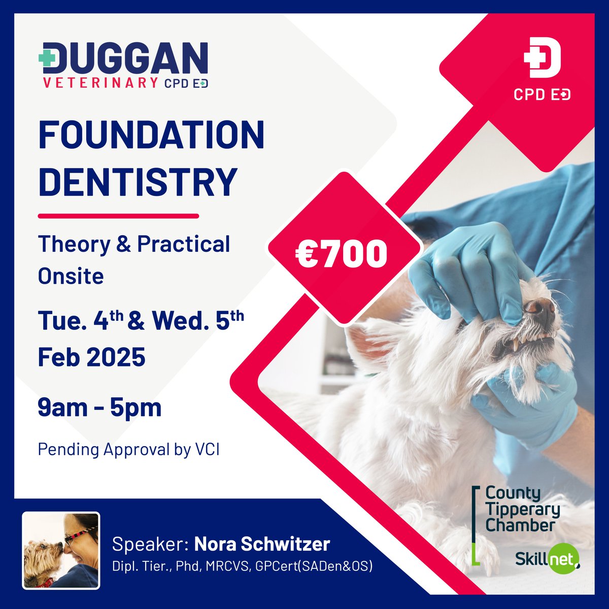 County Tipperary Chamber Skillnet (@cotippskillnet) on Twitter photo 📢 Are you interested in animal dentistry 🐶🐾
This course will focus on taking the proper first steps in your dentistry journey with a highly skilled dentistry practitioner. For more information and to register, visit countytipperarychamber.com/skillnet-upcom…
#ThinkTalent #Training <a href="/CTChamber/">County Tipperary Chamber</a> 📢 Are you interested in animal dentistry 🐶🐾
This course will focus on taking the proper first steps in your dentistry journey with a highly skilled dentistry practitioner. For more information and to register, visit countytipperarychamber.com/skillnet-upcom…
#ThinkTalent #Training <a href="/CTChamber/">County Tipperary Chamber</a>