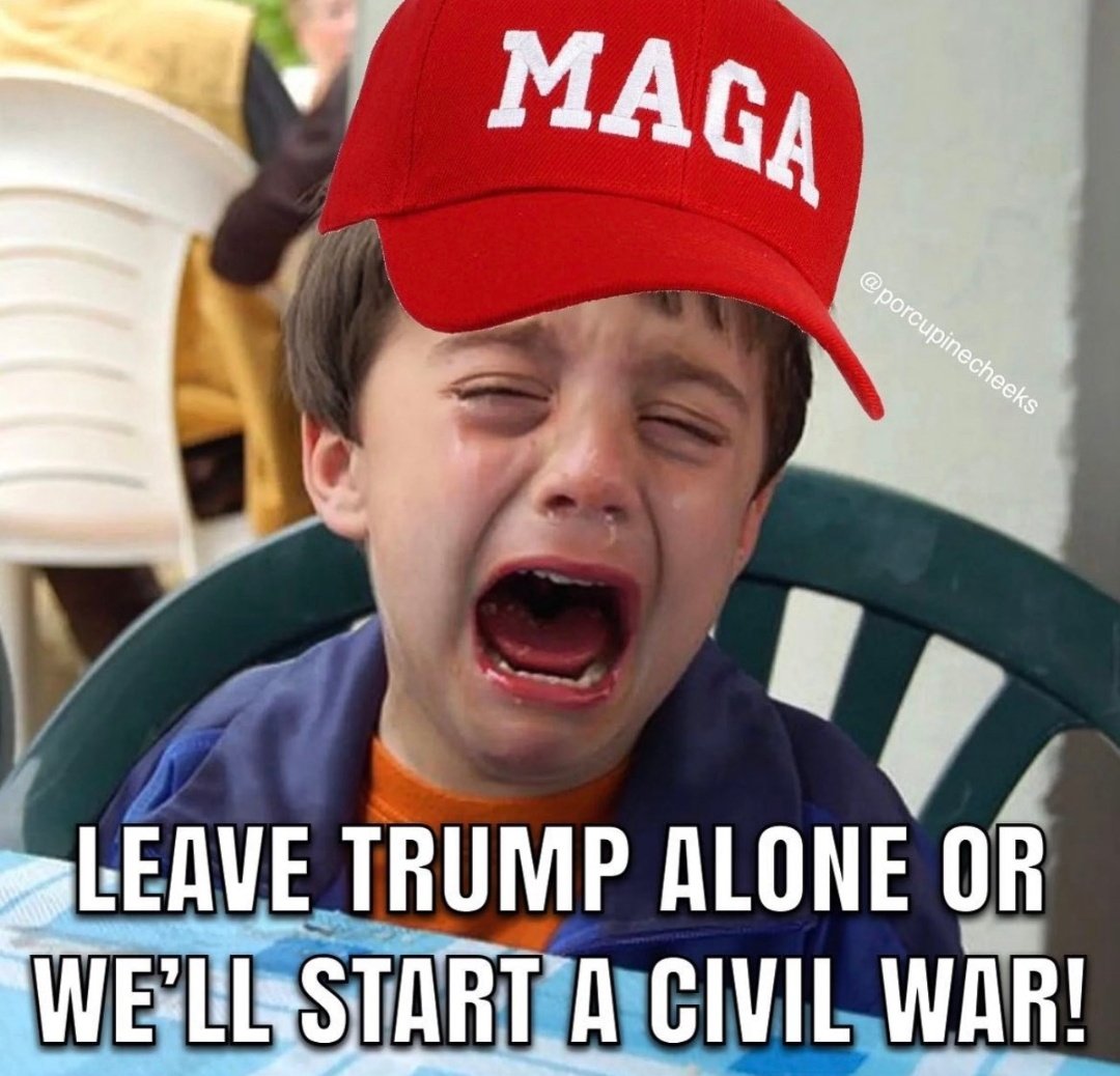 No_such_animal_'s tweet photo. @dutchessprim #boycottinauguration https://t.co/zpb3kuWrHk