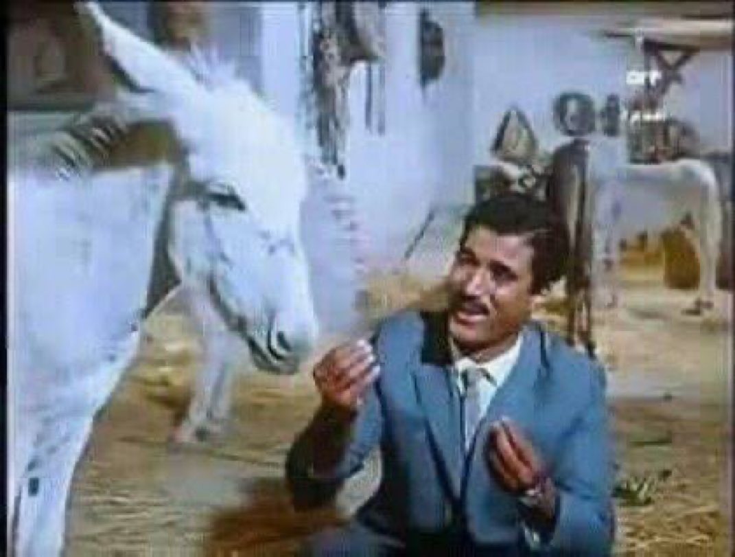 مضطر انى انشر هذا البوست ردا علي بعض العرب المطبعين المتصهينين الأذكياء الذين ينكرون انتصار المقاومة!!
طالما أن إسرائيل انتصرت وحماس انهزمت ، ليه إسرائيل قبلت شروط حمـ ـاس وانسحبت من غزة ، ارجوك افهمني يا حمـ ـار 😂