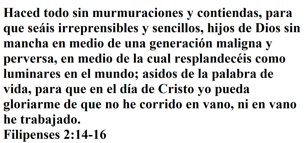 JoseATorresTo's tweet photo. #Biblia https://t.co/46KfZwnFl9